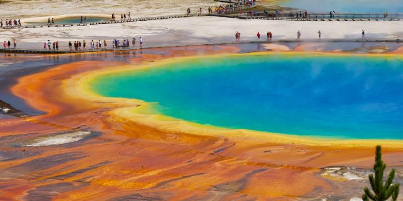 Top Things to Do on a Winter Escape to Yellowstone from Bozeman, Montana